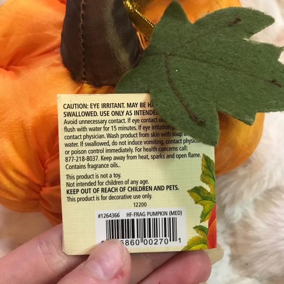 2012 Yankee Candle Fragranced Decorative Pumpkin Spiced - Picture 6 of 9